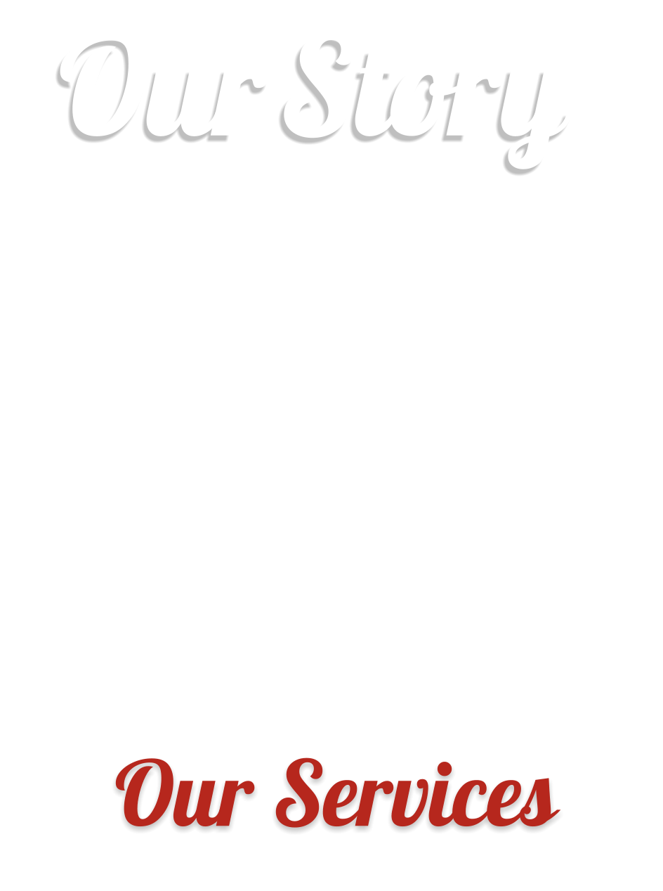 Haircut, Haircare, and Hair Salon Services